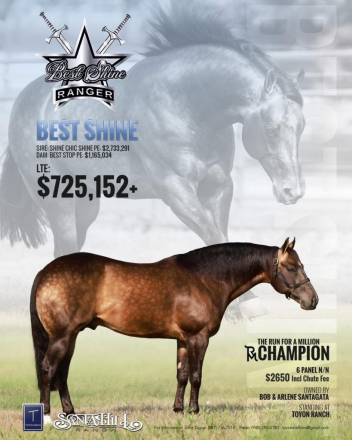 HorseID: 2299199 ElectricVintageShock NRHA $7700+ - PhotoID: 1080270