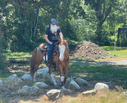 HorseID: 2299207 JAZZ IN WARPAINT - PhotoID: 1080279