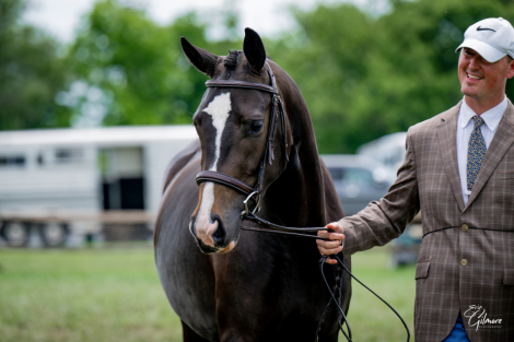 HorseID: 2299267 Haute Duchesse FV - PhotoID: 1080397