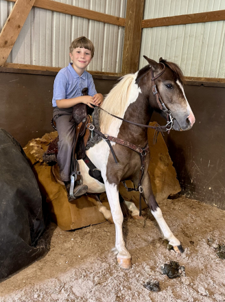 HorseID: 2299287 Scout - PhotoID: 1080446