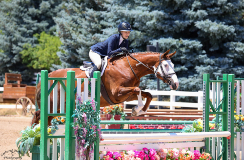 HorseID: 2299299 Sleepy All the Time - PhotoID: 1080517