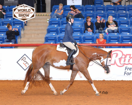 HorseID: 2299299 Sleepy All the Time - PhotoID: 1080519