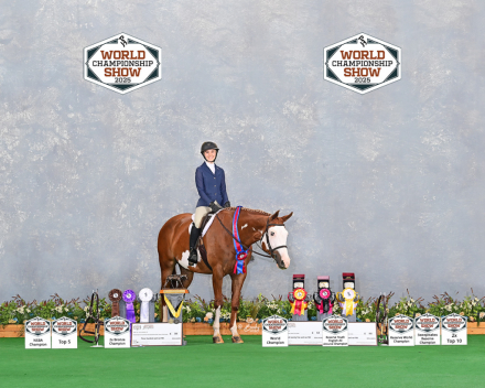 HorseID: 2299299 Sleepy All the Time - PhotoID: 1080520