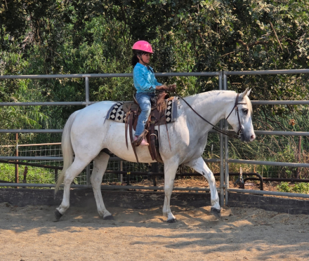 HorseID: 2299327 Speckle - PhotoID: 1080501