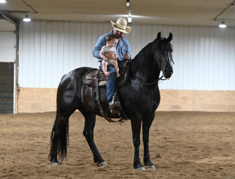 HorseID: 2299333 Once In A Lifetime Gelding! 🔥 Registered FRIESI - PhotoID: 1080516