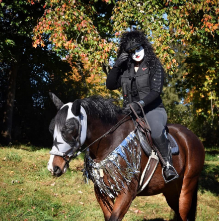 HorseID: 2299342 Figment - PhotoID: 1080530