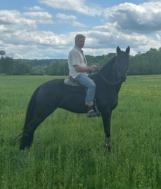 HorseID: 2299405 Zallie - PhotoID: 1080603