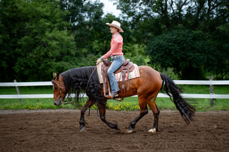 HorseID: 2299451 What Dreams Are Made Of - PhotoID: 1080678