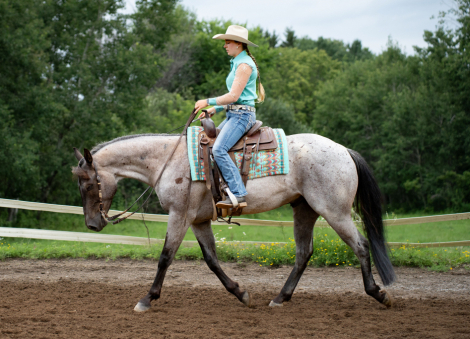 HorseID: 2299455 Relic - PhotoID: 1080689