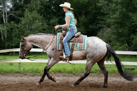 HorseID: 2299455 Relic - PhotoID: 1080690