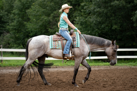 HorseID: 2299455 Relic - PhotoID: 1080691