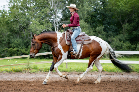 HorseID: 2299458 Roman's Empire - PhotoID: 1080693