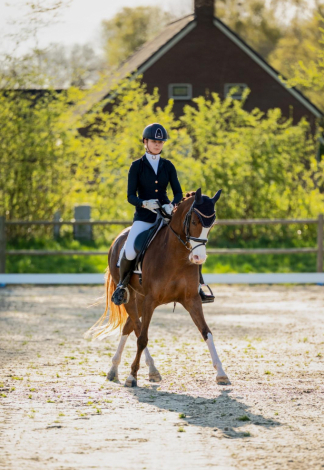 HorseID: 2299495 Bloklands Hoeve's Activia - PhotoID: 1080745