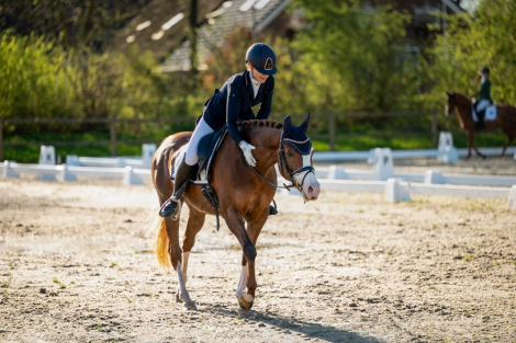 HorseID: 2299495 Bloklands Hoeve's Activia - PhotoID: 1080746