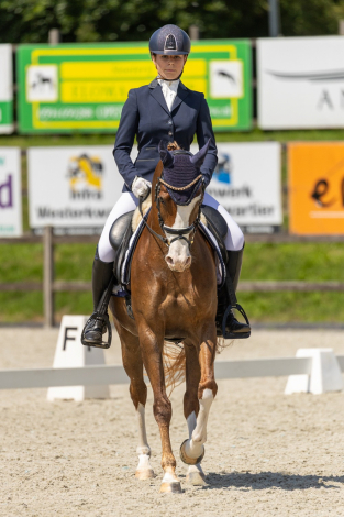 HorseID: 2299495 Bloklands Hoeve's Activia - PhotoID: 1080748