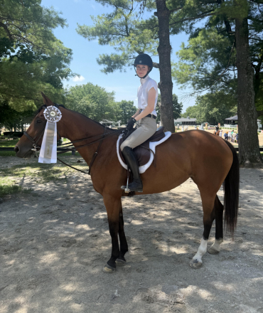 HorseID: 2302365 Paradijs - PhotoID: 1101557