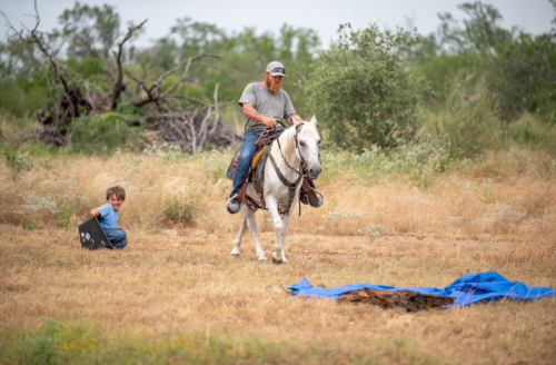 HorseID: 2304338 SMOKE - PhotoID: 1099868