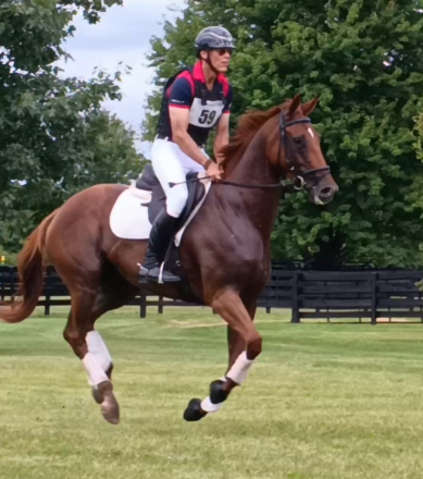 HorseID: 2305044 Arbitrary - PhotoID: 1102790