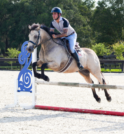 HorseID: 2305450 LUSMAGH LARRY - PhotoID: 1099629