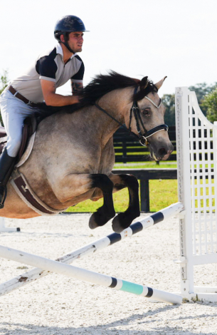 HorseID: 2305450 LUSMAGH LARRY - PhotoID: 1099631