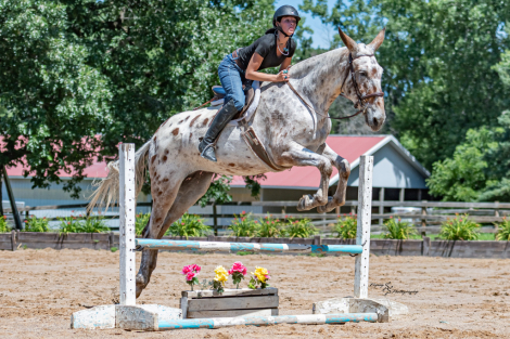 HorseID: 2305574 Big Easy - PhotoID: 1097177