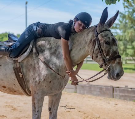 HorseID: 2305574 Big Easy - PhotoID: 1097178