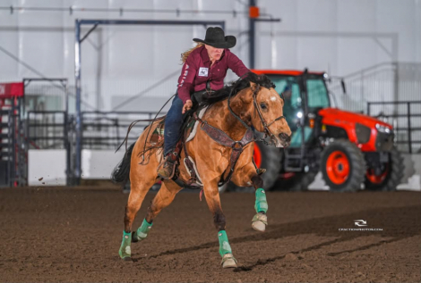 HorseID: 2306937 ARBONS FAMUS FRENCHMAN - PhotoID: 1090749