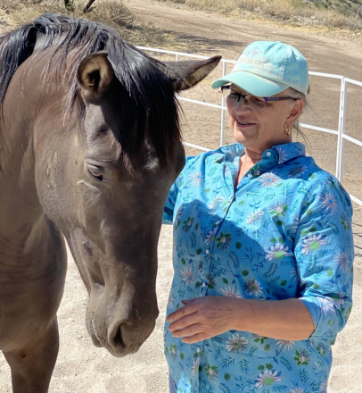 HorseID: 2307909 ANDALUSIAN HERD REDUCTION SALE-Geldings/Mares - PhotoID: 1091949