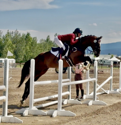 HorseID: 2307937 Explorer Giovanni - PhotoID: 1091971