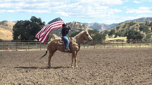 HorseID: 2308124 BELLE - PhotoID: 1092220