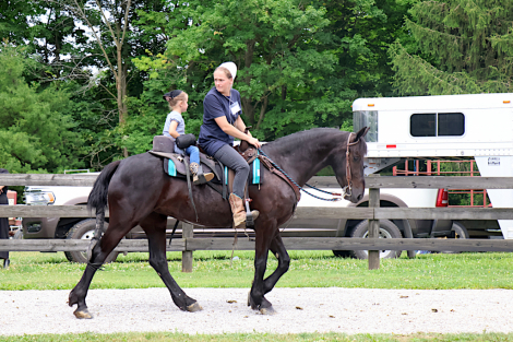HorseID: 2309708 Dream - PhotoID: 1094238