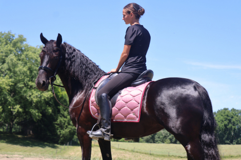 HorseID: 2309708 Dream - PhotoID: 1094239