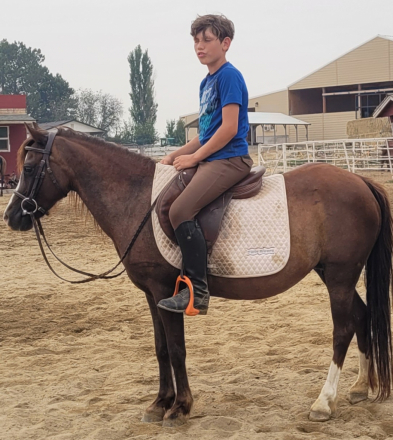 HorseID: 2312221 Brave - PhotoID: 1097414