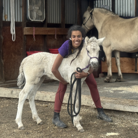 HorseID: 2312428 Sunnyside's Franz - PhotoID: 1097550