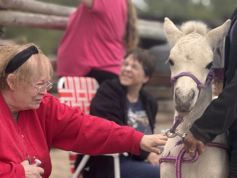 HorseID: 2312428 Sunnyside's Franz - PhotoID: 1097777