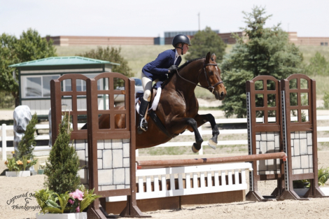 HorseID: 2312444 Cacola - PhotoID: 1097569