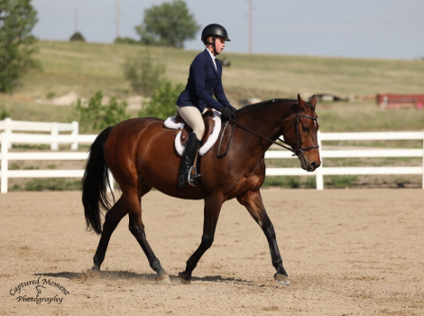 HorseID: 2312444 Cacola - PhotoID: 1097570