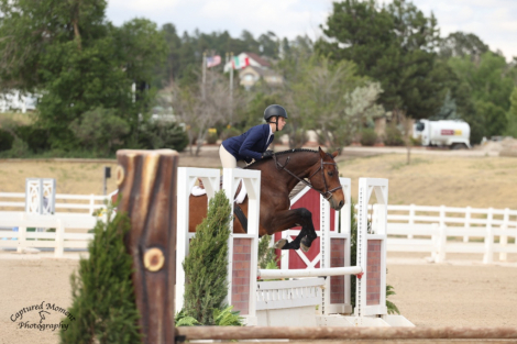 HorseID: 2312444 Cacola - PhotoID: 1097571