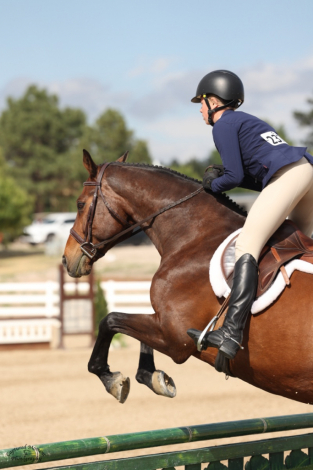 HorseID: 2312444 Cacola - PhotoID: 1097572