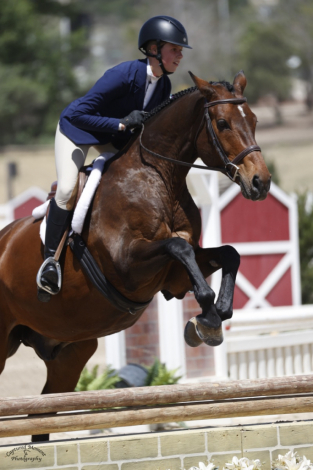 HorseID: 2312444 Cacola - PhotoID: 1097573