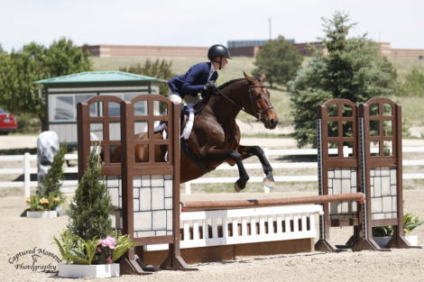 HorseID: 2312444 Cacola - PhotoID: 1097574