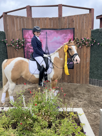 HorseID: 2313016 Peaches & Cream - PhotoID: 1098310