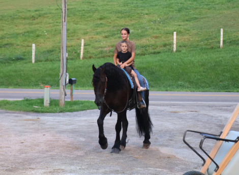 HorseID: 2313955 Naymak SBS - PhotoID: 1099505