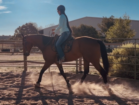 HorseID: 2314357 Start the Music - PhotoID: 1100022