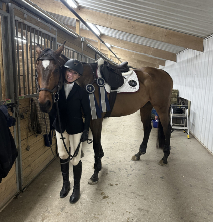 HorseID: 2314951 SWAYDE - PhotoID: 1100812