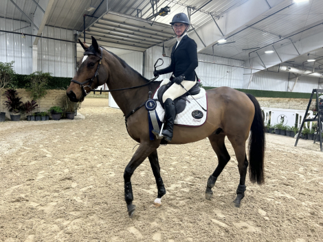 HorseID: 2314951 SWAYDE - PhotoID: 1100813