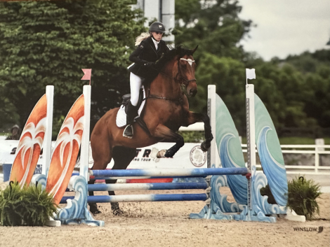 HorseID: 2314951 SWAYDE - PhotoID: 1100814