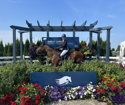 HorseID: 2314951 SWAYDE - PhotoID: 1100815