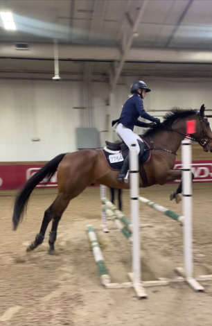 HorseID: 2314951 SWAYDE - PhotoID: 1100816