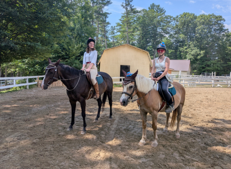 HorseID: 2314966 We are in Maine now! - PhotoID: 1101455